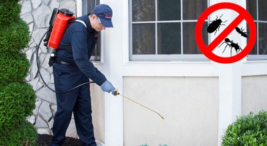 Kurtalan Dezenfeksiyon böcek ilaçlama ve haşere kontrolü — ilaclama-tr.com